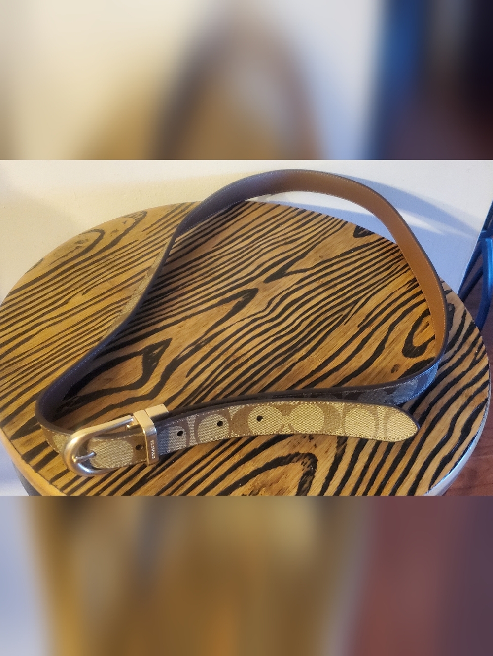 MEN REVERSIBLE COACH BELT